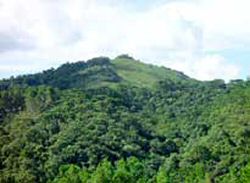 Pico do Imbiri